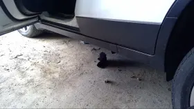 122.gm4g17 Buick Encore 2017 Running Board 4485333