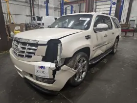 122.gm6j14 Cadillac 2014 Escalade Drivers Side Running Board E768198