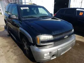 122.gm8g03 Chevrolet Truck Trailblaz 2003 Running Board 1330277