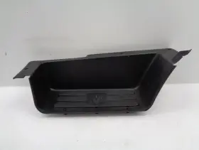5fa28trmag Dodge 2000 Ram 1500 Van Right Passenger Side Inside Step Cover Oem Ak2411315
