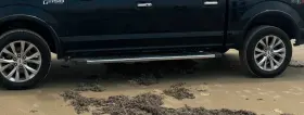 Nl3z-16450-chr Ford 2015 2022 F-150 Truck Running Boards Chrome 6 Inch Crew Cab Houston Area Pickup #3