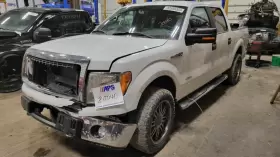 122.fd8514 Ford Truck 2014 F-150 Drivers Side Running Board E704575