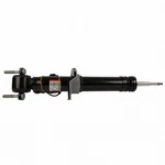 AST84826 Motorcraft Bare Strut Front Passenger Right Side Hand For Expedition. Fixed Price $360.48.