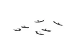 Aries 2051132 For 14-20 Cherokee (excluding Trailhawk) Aerotread Bracket Kit. Fixed Price $128.56.