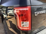 Driver Tail Light Styleside Incandescent Fits 15-17 Ford F150 Pickup 4551792. Fixed Price $69.99.
