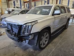 Used Running Board Fits: 2015 Cadillac Escalade Esv. Fixed Price $418.75.
