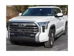 Romik 51728418 Rec-tp R.b.tundra Crewmax Polish 22. Fixed Price $743.53.