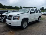 Tahoe 2008 Running Board 1588926. Fixed Price $204.44.