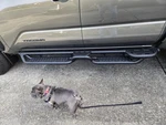 2024 Toyota Tacoma Binary Running Boards. Fixed Price $125.00.