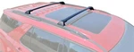 Brightlines Cross Bar Luggage Roof Rack Replacement 2020-2026 Ford Explorer. Fixed Price $64.99.